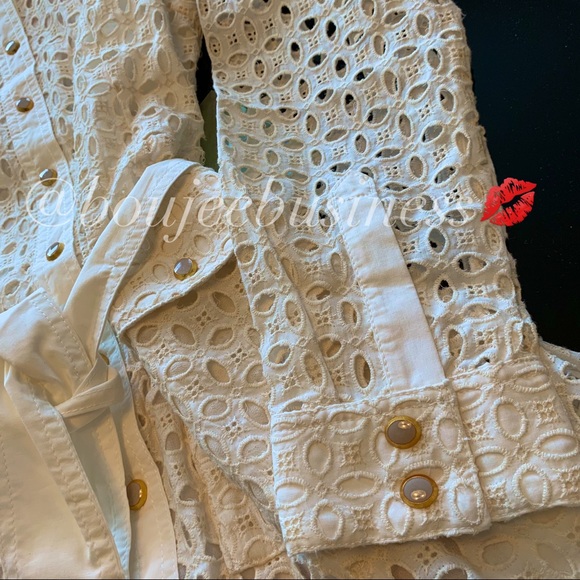 ZARA BNWT Openwork Embroidered Dress with Cuffed Sleeve - Picture 13 of 13